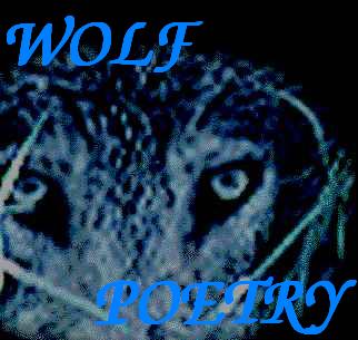 wolfbackgroundpoetry.jpg